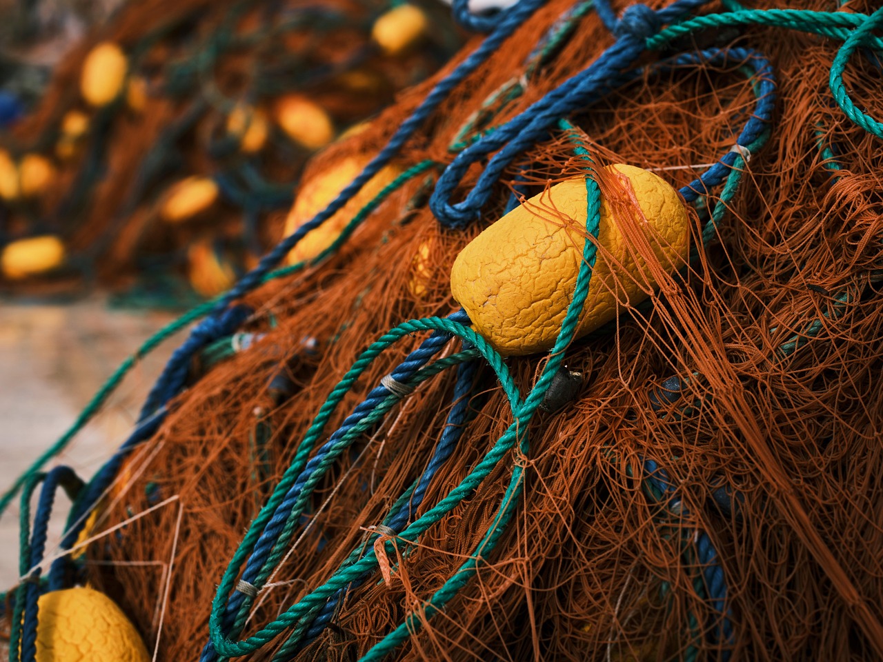 fishing net, rope, fishing, fishery, fish trap, net, buoys, closeup, fishery, fishery, fishery, fishery, fishery